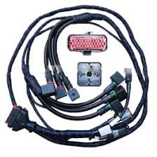 Harness