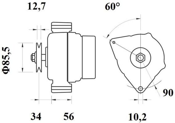 Mahle MG 829