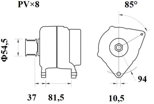 Mahle MG 810