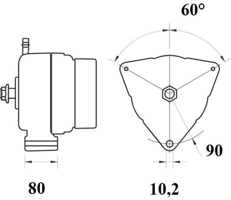 Mahle MG 809