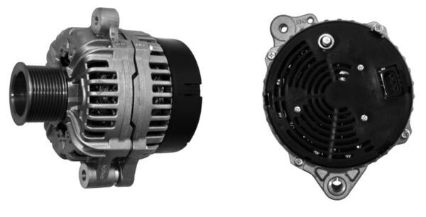 Mahle MG 883