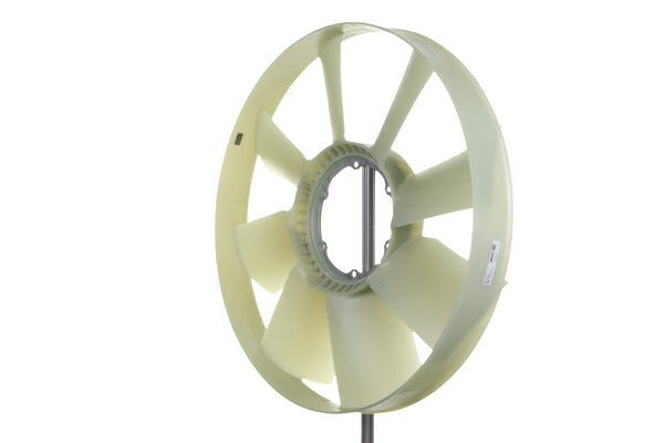 Mahle MAHLECFW31000P