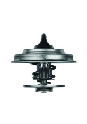 Mahle TX1887D