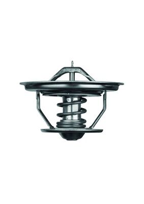 Mahle MAHLETX3571
