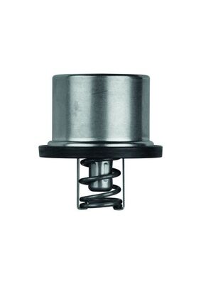 Mahle MAHLETHD182