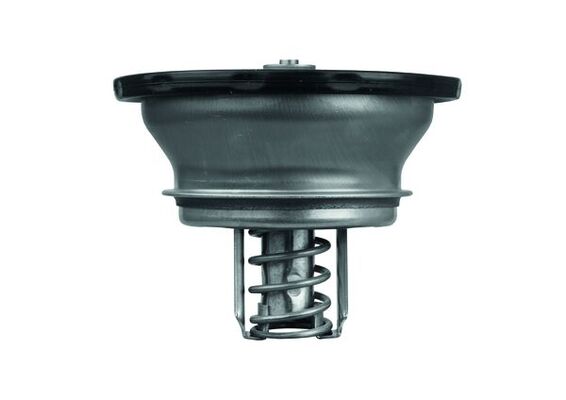 Mahle MAHLETHD382