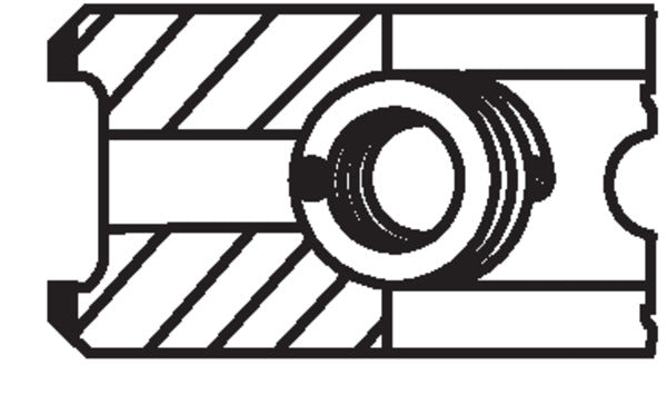 Mahle 10191N2