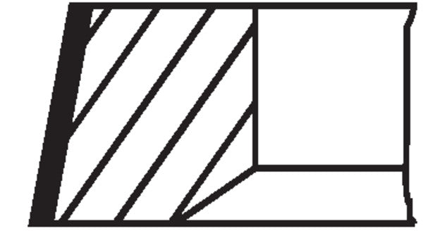 Mahle 10191N2