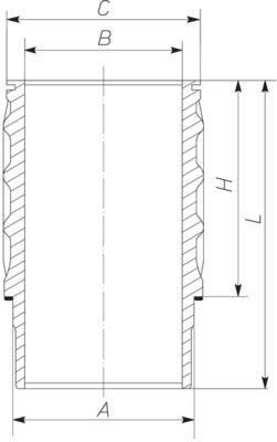 Mahle MAHLE061WN1701