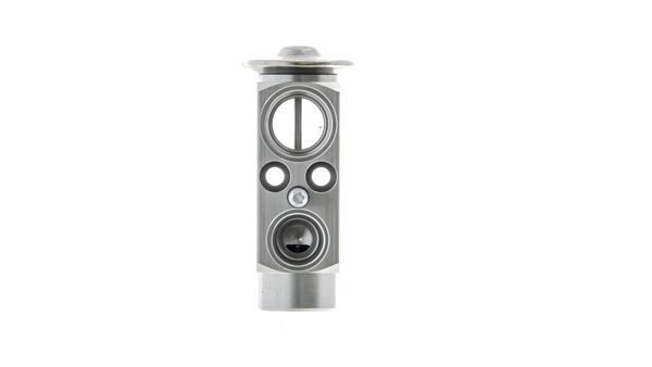 Mahle MAHLEAVE66000P