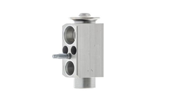 Mahle MAHLEAVE66000P