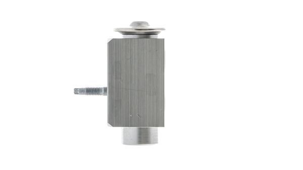 Mahle MAHLEAVE66000P
