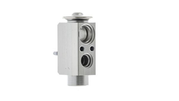 Mahle MAHLEAVE66000P