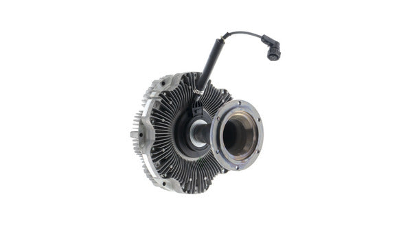 Mahle MAHLECFC173000P
