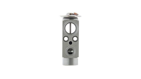 Mahle MAHLEAVE23000P