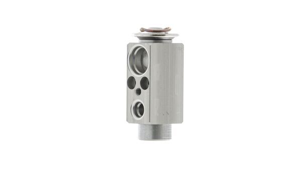Mahle MAHLEAVE23000P