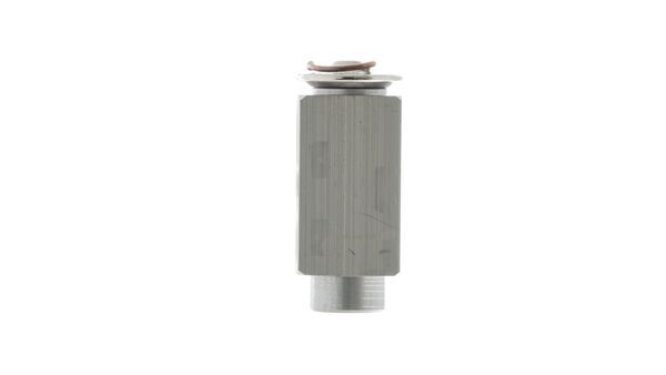 Mahle MAHLEAVE23000P