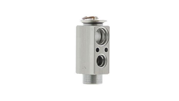 Mahle MAHLEAVE23000P