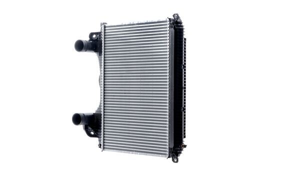 Mahle MAHLECI119000P