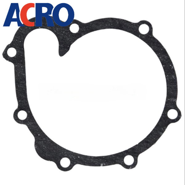 ACRO Water pump gasket 4198968 suitable for DEUTZ